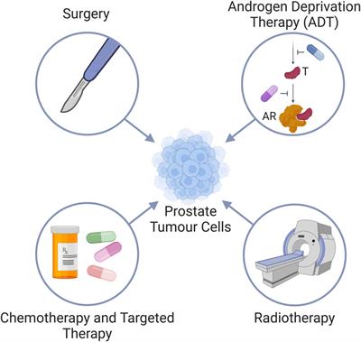 To eat or not to eat: a critical review on the role of autophagy in prostate carcinogenesis and prostate cancer therapeutics